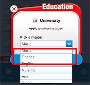 BitLife - Life Simulator Accountant