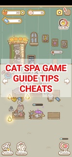 Cat Spa Game