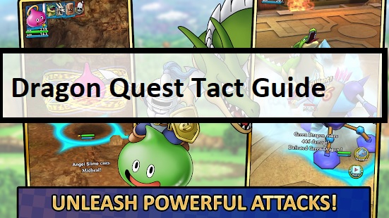 Dragon Quest Tact Guide Battle Tips Equipment Awakening More Mrguider - highest level in roblox dq