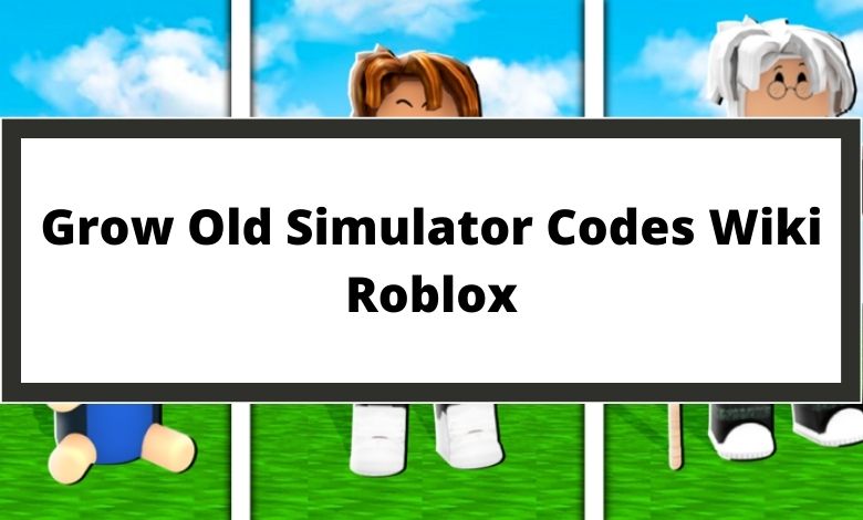 Grow Old Simulator Codes Wiki Roblox July 2021 Mrguider - roblox old simulator