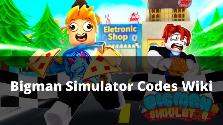 Bigman Simulator Codes (March 2022)