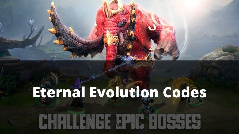 Eternal Evolution Codes