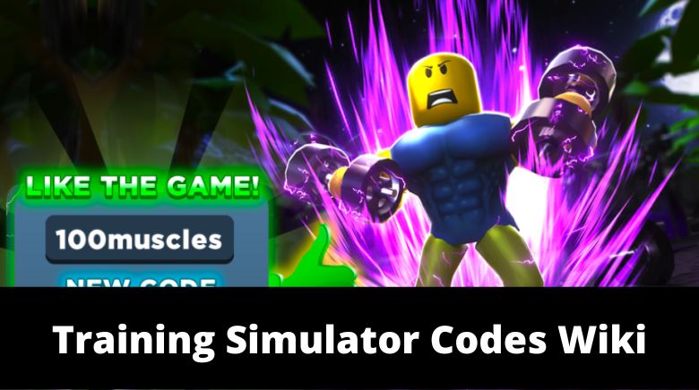 Training Simulator codes