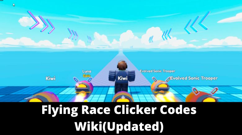 Fly Race Codes (September 2023) - Roblox