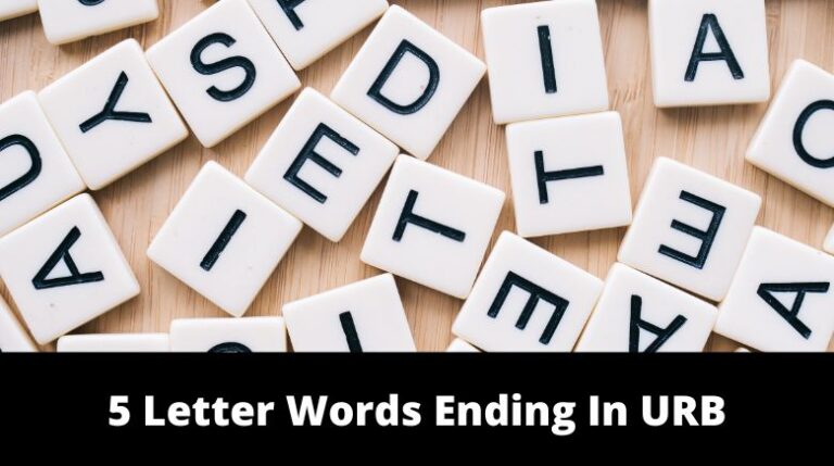 5 letter words ending bun