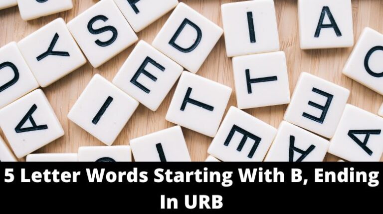 5-letter-words-starting-with-b-ending-in-urb-mrguider