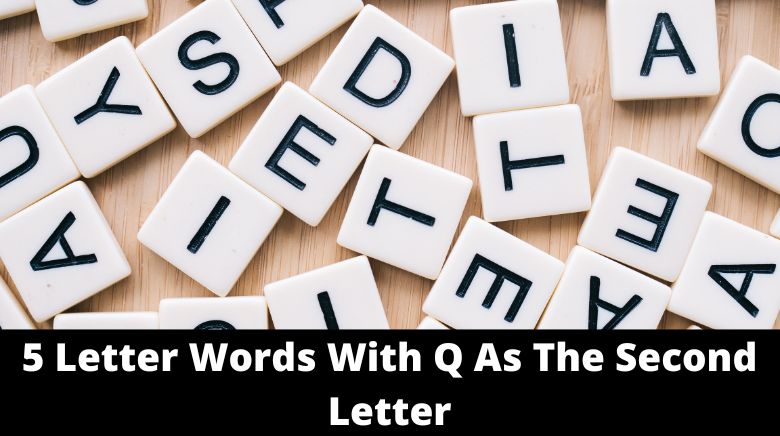 5 letter word with q u i e t y