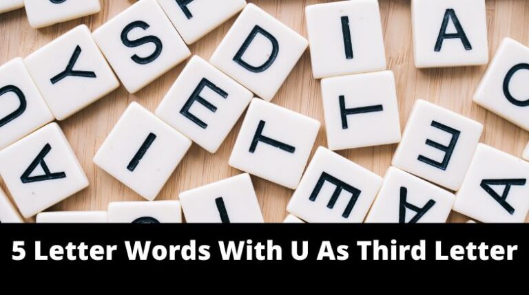 5 letter word including u and y