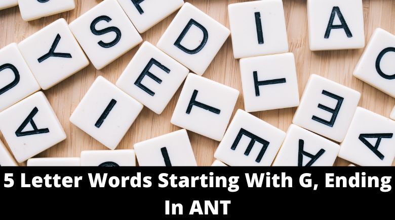 5 Words Starting With G, Ending In ANT - MrGuider