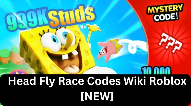 Fly Race codes