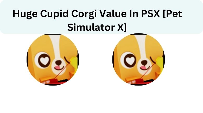 Huge Super Corgi Value - Pet Sim X Value List 