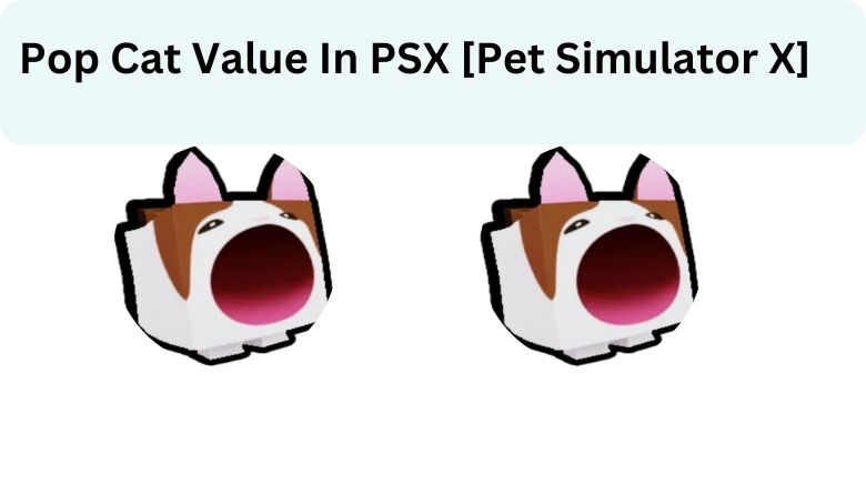 Pog Cat Value - Pet Sim X Value List 