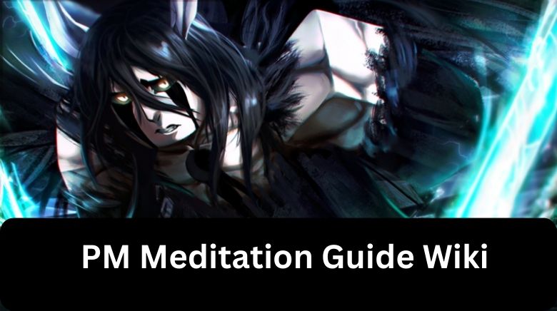 PM Meditation Guide Wiki