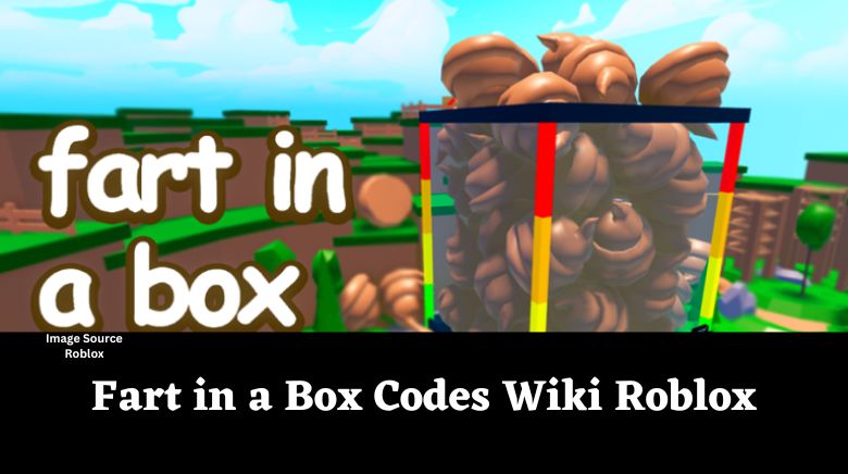Big Box, Roblox Wiki