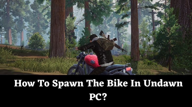 How To Spawn The Bike In Undawn PC