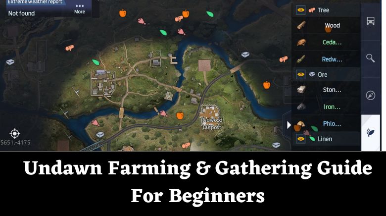 Undawn Farming & Gathering Guide For Beginners