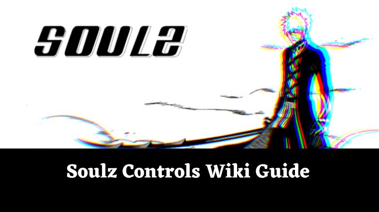 Soulz Controls Wiki Guide