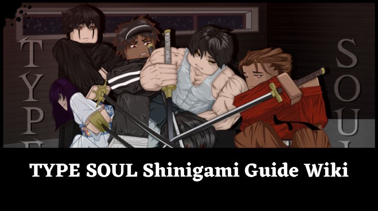 TYPE SOUL Shinigami Guide Wiki