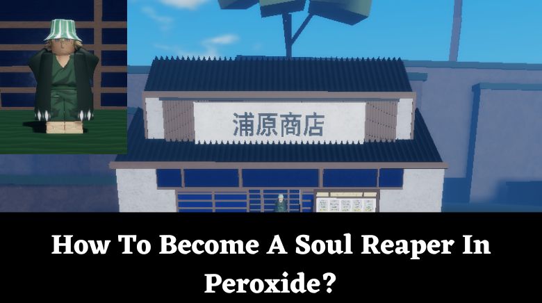 How To Become A Soul Reaper In Peroxide