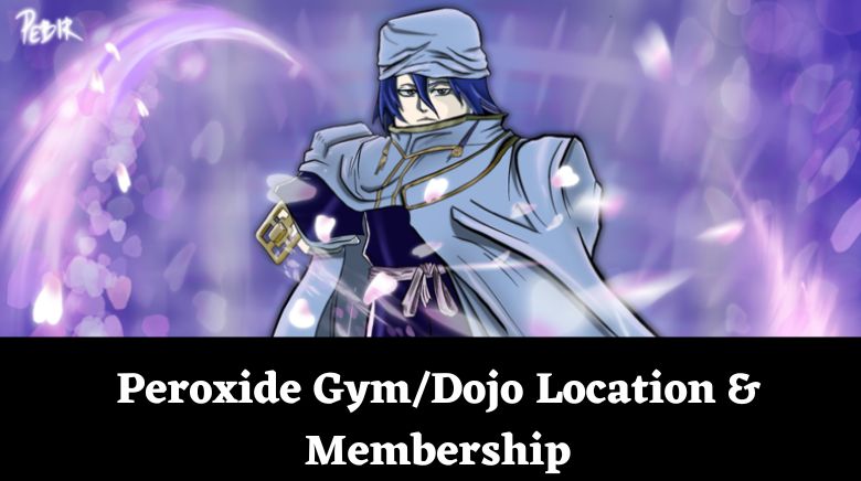 Peroxide Gym Dojo Location & Membership