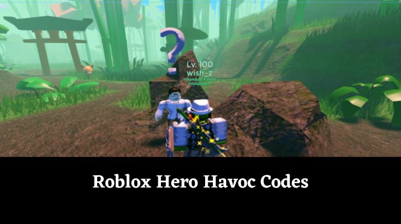 Codes, Hero Havoc Wiki