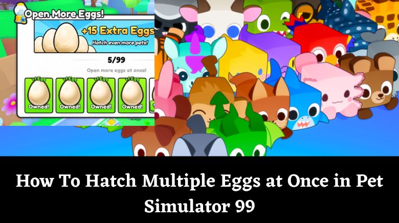 How To Hatch Multiple Eggs at Once in Pet Simulator 99