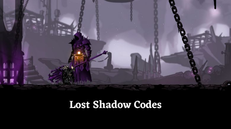 Lost Shadow Codes