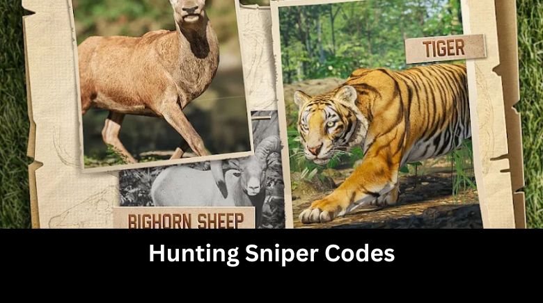 Hunting Sniper Codes